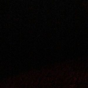 Meet your Posher, Jennalee